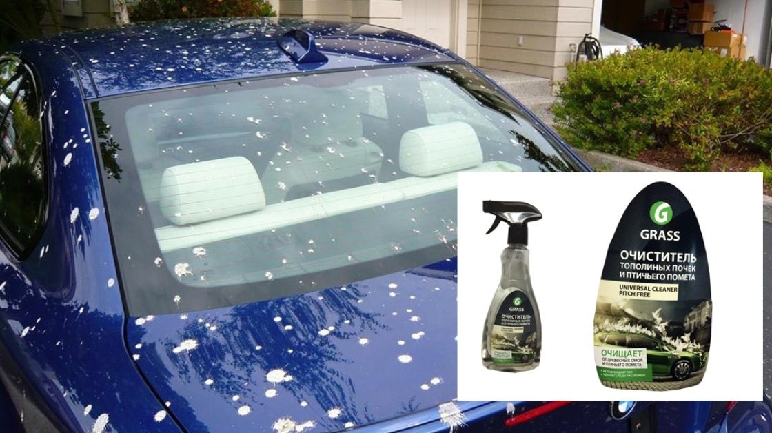 На фотографии изображен автомобиль со следами помета на лакокрасочном покрытии.
