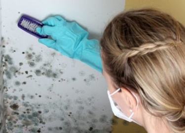 Популярные способы решения вопроса, как самостоятельно избавиться от запаха плесени. Распространенные средства очистки. Способы удаления и профилак...