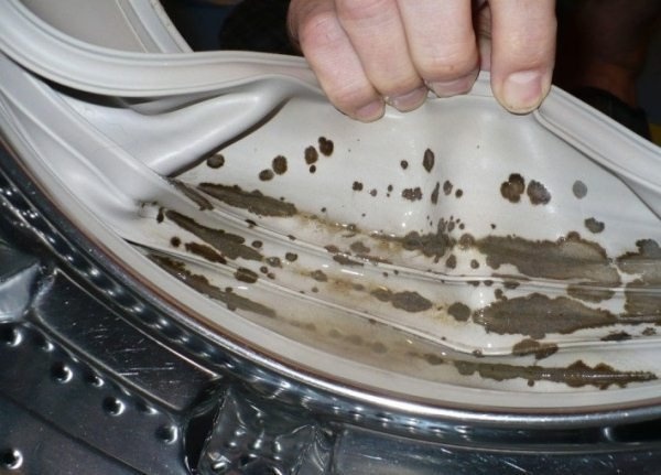 грибок на деснах стиральной машины
